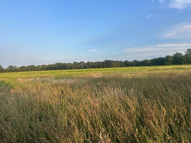 Farm stay at Award-Winning Goat Dairy and Farmstead