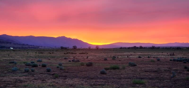 Farm stay at Wide-Open Bee & Meadow Ranch Stay