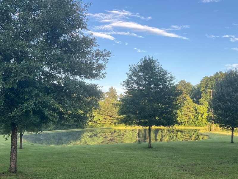 Scenic Southern Louisiana Farmstead
