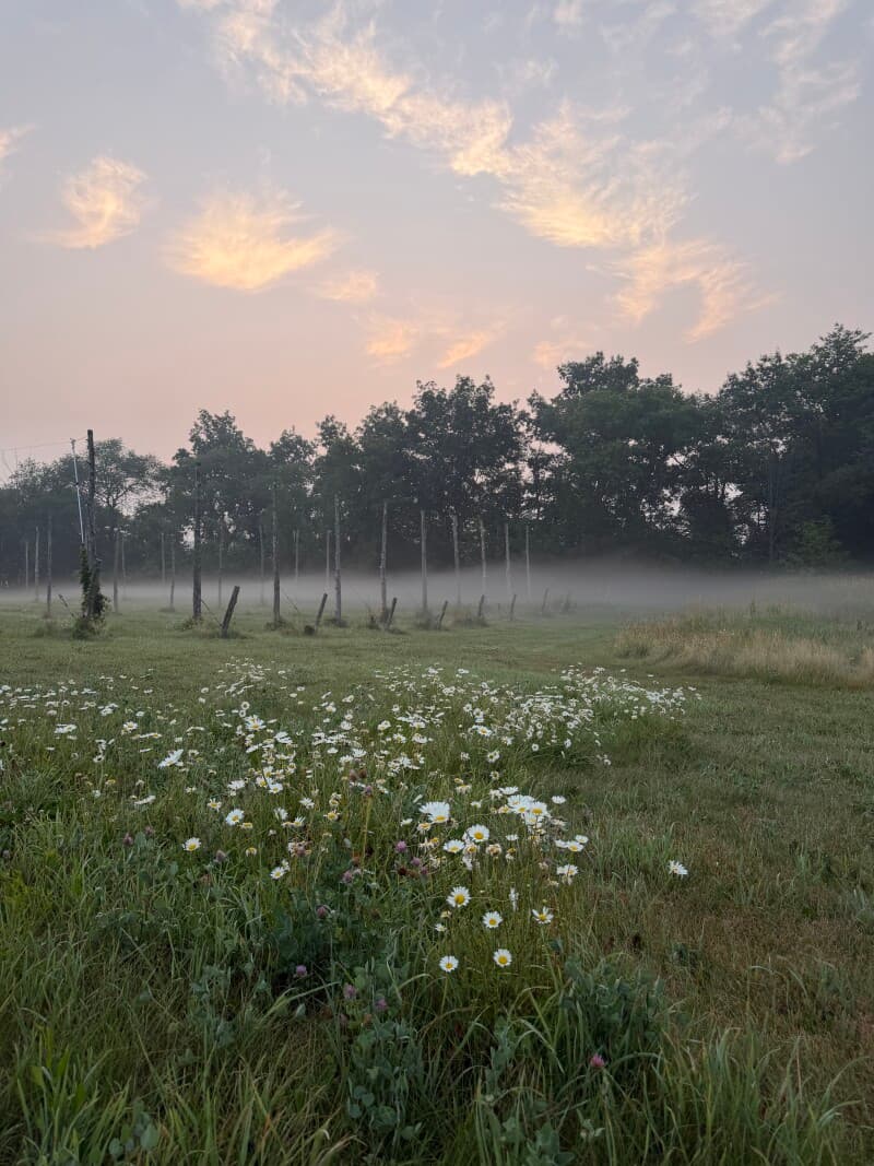 Farm stay at Hops Farm Stay by a Scenic State Park