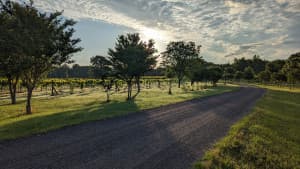 Scenic Vineyard Winery Retreat