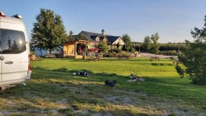 Country Estate Cidery & Bistro