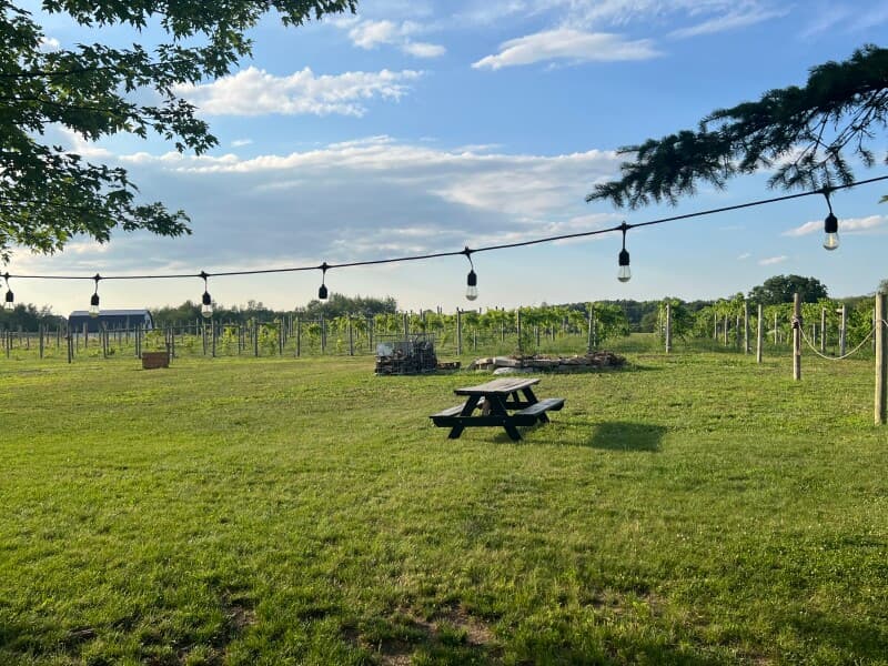 Historic Community Vineyard & Events Escape