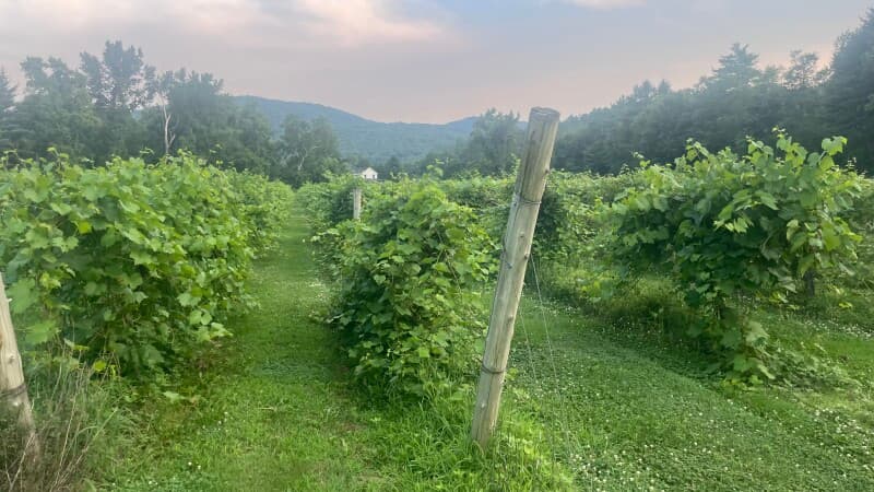 Winery stay at Riverfront Mountain Vineyard & Tasting Room