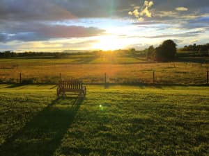 Family Alpaca & Grass-Fed Beef Farm