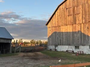 Family-Run Organic Farm Experience