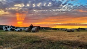Boutique Fiber Mill & Farm