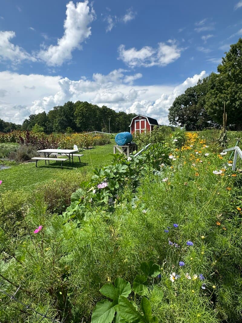 Farm stay at Harvest Hosts Farm