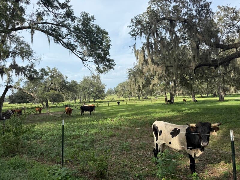 Farm stay at Harvest Hosts Farm