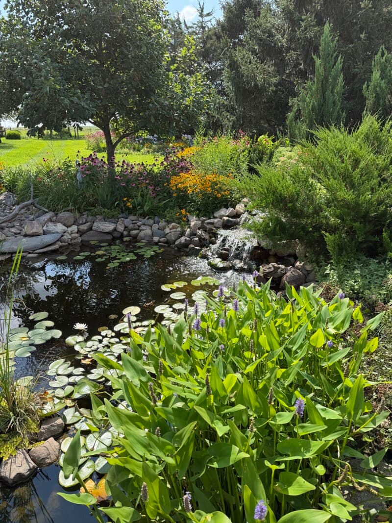 Farm stay at Harvest Hosts Farm