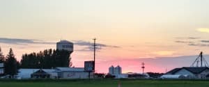 Family Estate Brewery on the Prairies