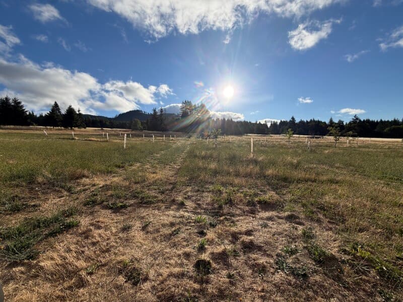 Farm stay at Harvest Hosts Farm