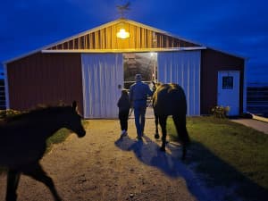 Rustic Horse Motel Retreat