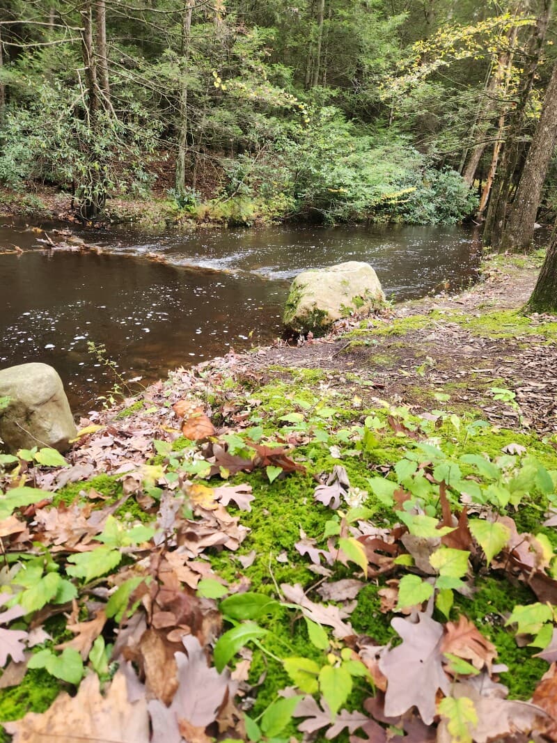 Host stay at Echo Valley Campground