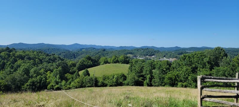 Farm stay at Blue Ridge Muscadine Vineyard & Nursery