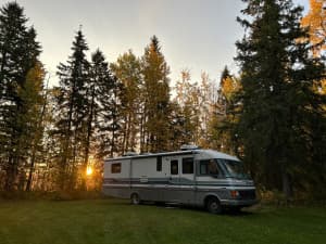 Forest Orchard Farm Retreat