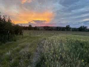 Family-Run Organic Farm Retreat