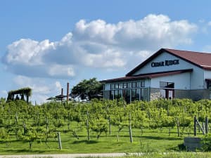 Ground-Up Craft Brewery Retreat