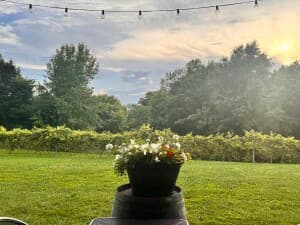 Rustic Illinois Winery Retreat