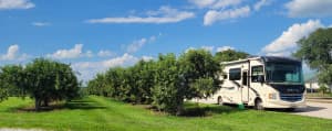Historic Orchard & Vineyard Getaway
