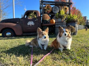 Kentucky Bourbon Distillery Retreat