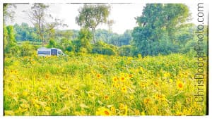 Seed-to-Soap Herb Farm Retreat