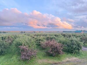 Historic Family Orchard Cidery
