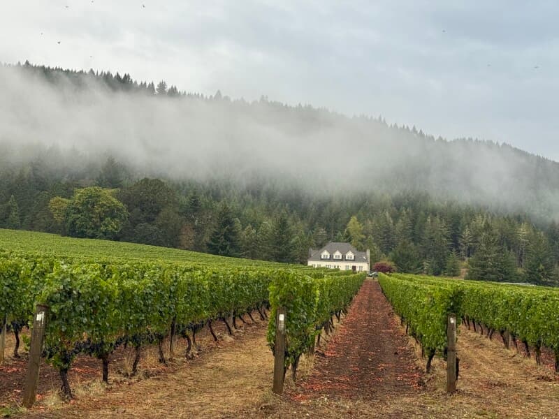 Winery stay at Award-Winning Boutique Winery Retreat