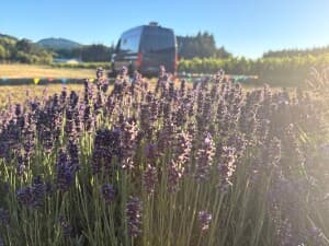 Award-Winning Boutique Winery Retreat