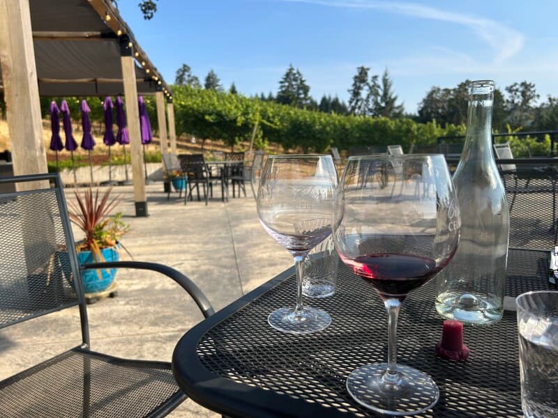 Winery stay at Scenic Hillside Vineyard & Winery