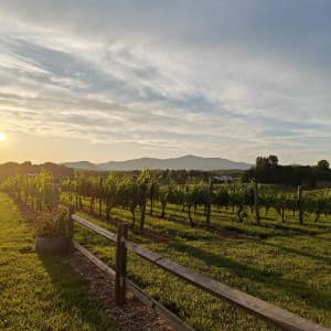 Blue Ridge Foothills Winery & Brewery
