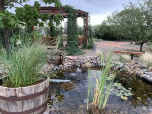 Southwestern Desert Beer Garden Brewery