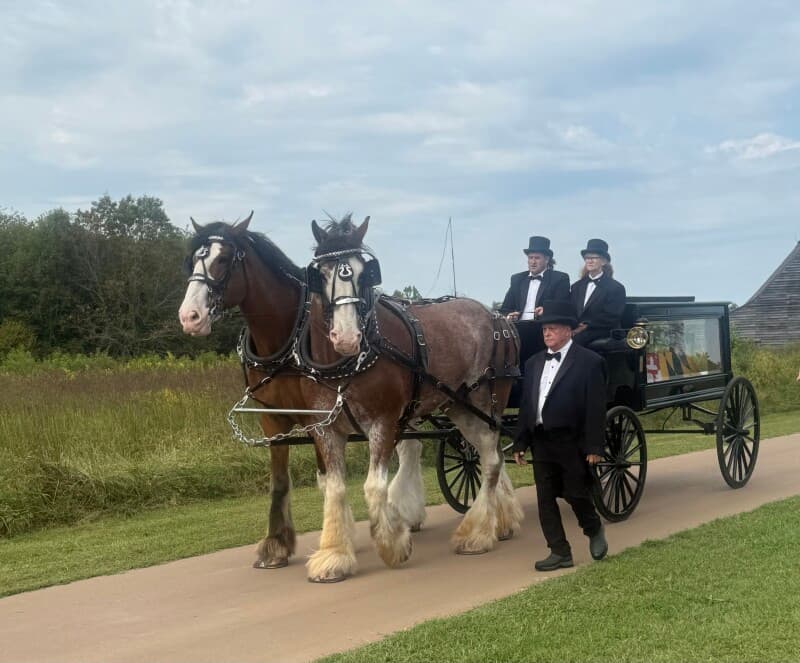 Farm stay at Historic Clydesdale Horse Farm