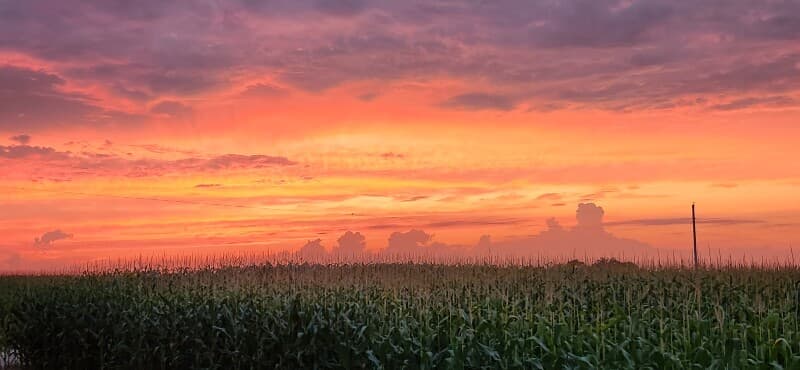 Farm stay at Southern Indiana Livestock Farm