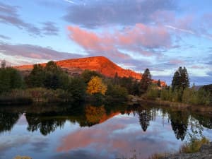 Scenic Gorge Interpretive Museum