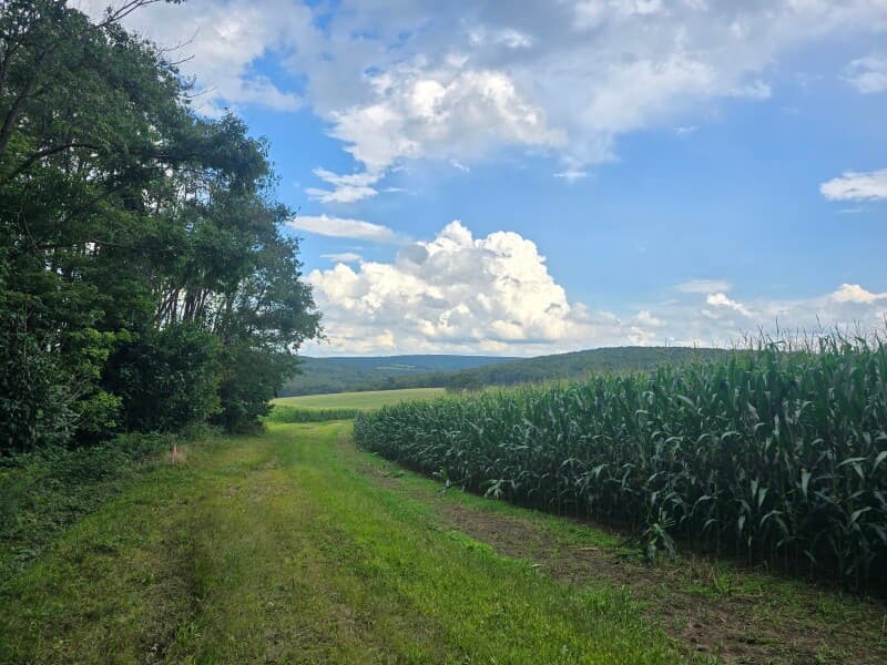 Farm stay at Scenic Maple Sugar Camp Retreat