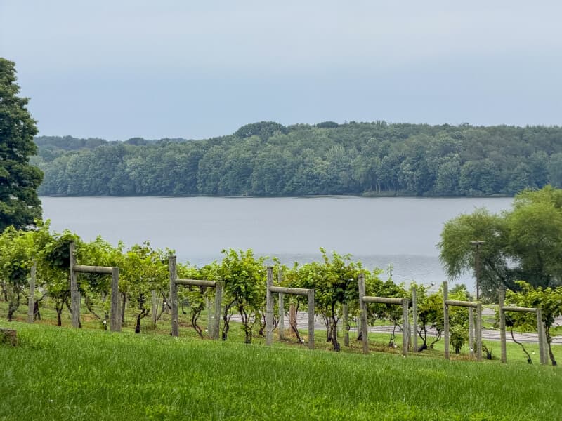 Winery stay at Scenic Lakeside Winery & Event Center