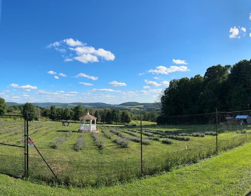 Farm stay at Scenic Lavender Farm Retreat