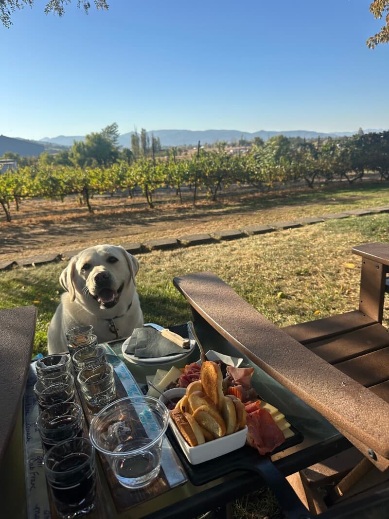 Winery stay at Historic Rogue Valley Winery