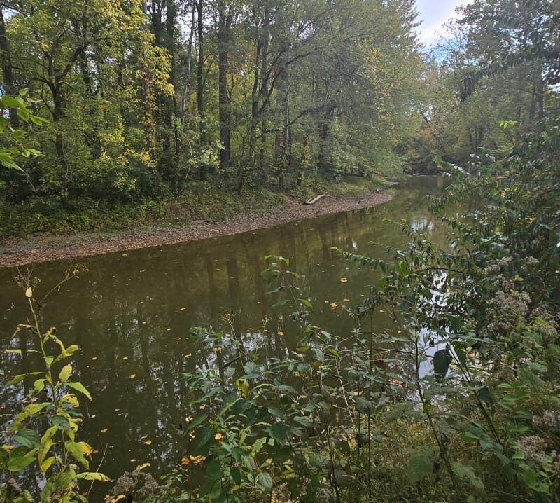 Farm stay at Tranquil Creekside Hobby Farm
