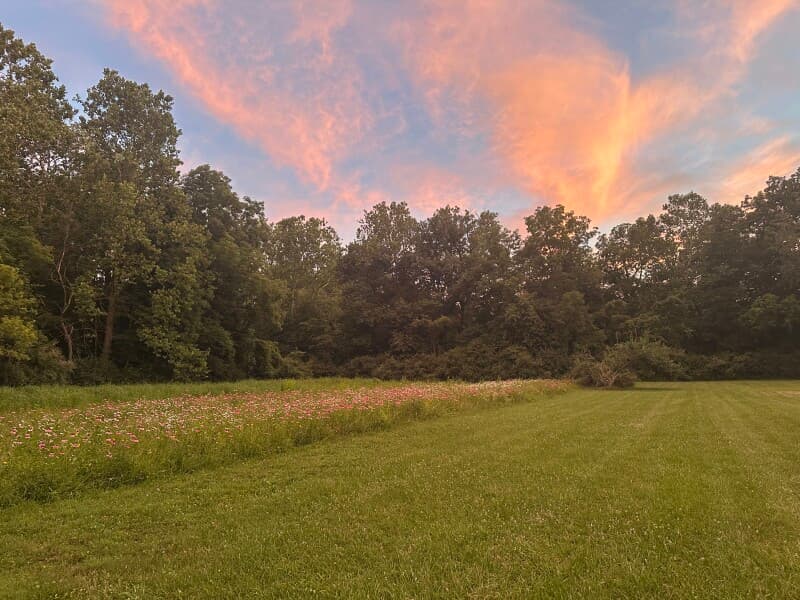 Farm stay at Tranquil Creekside Hobby Farm