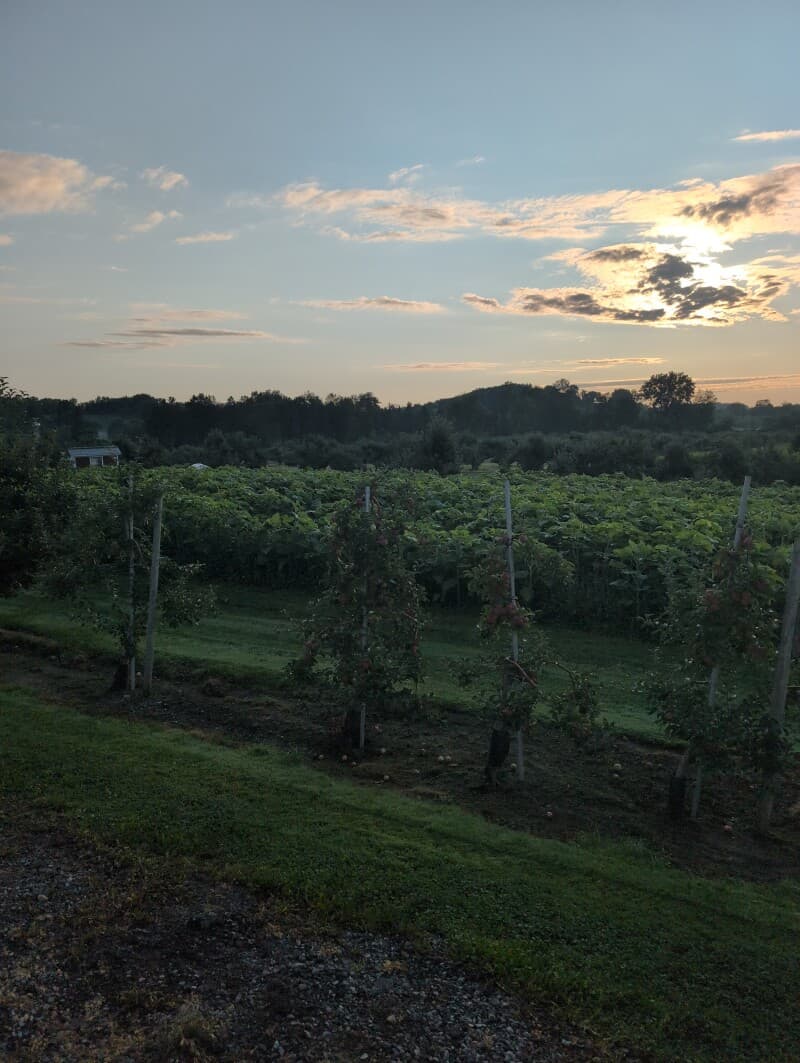 Farm stay at Heritage Apple Orchard & Cidery