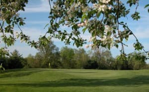 Upstate NY Championship 18-Hole Golf Course