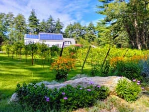 Quaint Family-Run Organic Winery