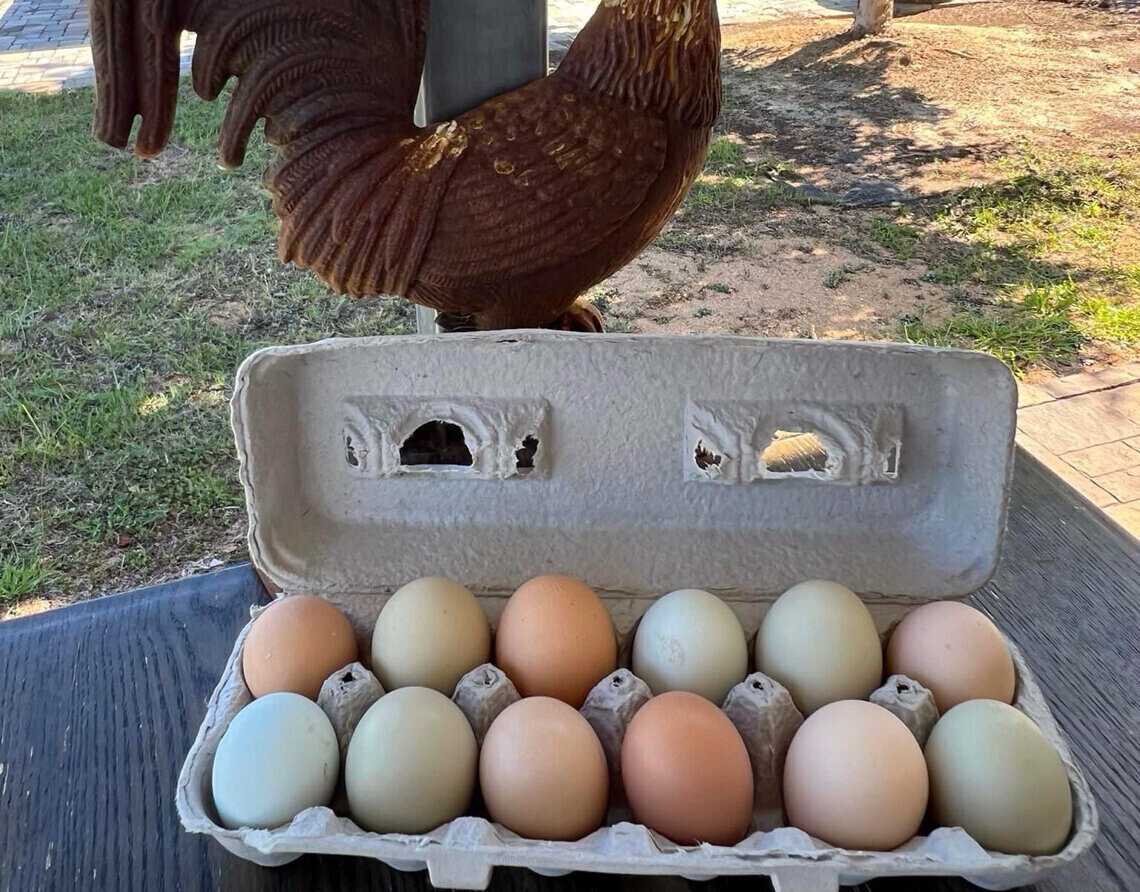 Image of fresh eggs at a Harvest Hosts farm