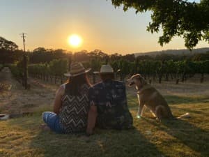 Estate Winery with Cave Tasting