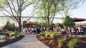 Ozark Highlands Wine & Beer Retreat