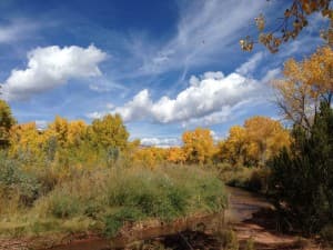 Historic New Mexico Vineyard Retreat