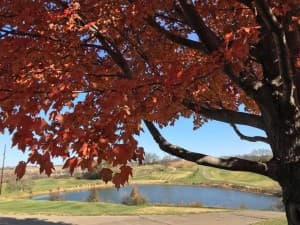 Scenic Rolling Hills Golf Course