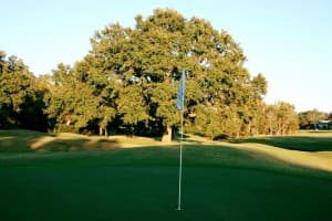 Scenic Gulf Coast Golf Course